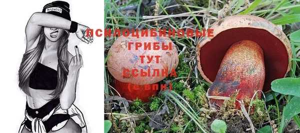 СК Абдулино