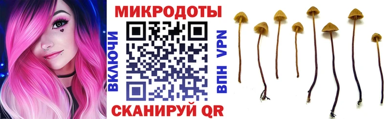Галлюциногенные грибы Magic Shrooms  дарнет шоп  Белая Калитва 