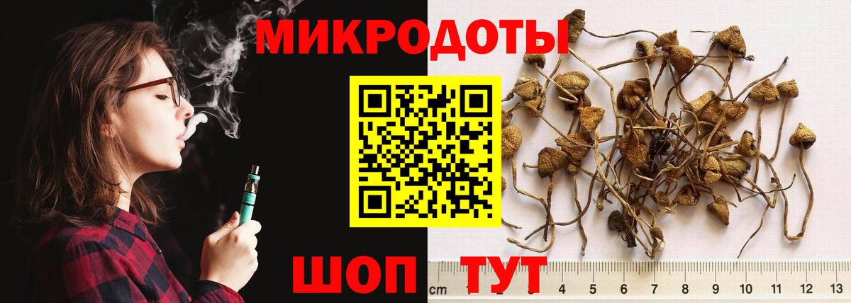 Галлюциногенные грибы Cubensis Белая Калитва
